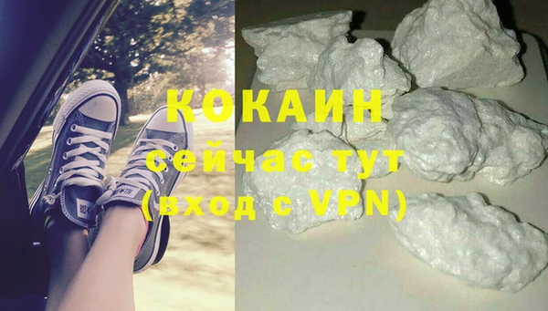 индика Белокуриха