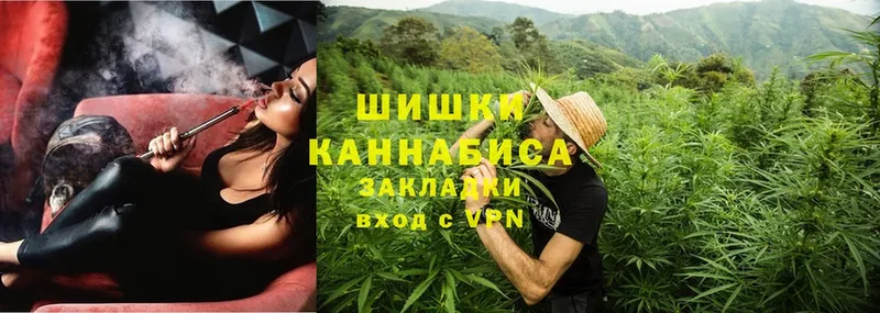 Бошки марихуана OG Kush  Уяр 